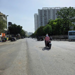 đất biệt thự tư đình - cổ linh, vị trí kim cương, 315m2 - 630m2, đường 17.5m, giá 99 và 198 tỷ.