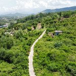 Bán đất tại diên hòa, diên khánh, khánh hòa, giá tốt, 1,5 tỷ, 11000 m2