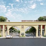 đất nền dự án hưng long residence, 1,3 tỷ, 95m2 tại tỉnh lộ 822, đức hòa, long an