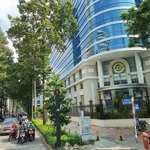 Bán tòa nhà building 2mt ngay trần hưng đạo, q. 1 - 14x32m, 2 hầm 10 tầng, hđt 1 tỷ/th, 290 tỷ