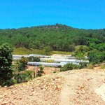 Bán đất view đẹp đồi thông khu dân cư trung tâm đà lạt, đi hồ xuân hương hơn 4km