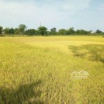 Bán lô đất ở hòa châu thuộc địa giới hành chính hòa xuân.