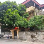 Bán nhà riêng tại xã dương xá, 18,5 tỷ, 218 m2, chính chủ giá siêu hời