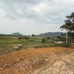 Bán gấp siêu phẩm nghỉ dưỡng 3000m mặt đường 446 yên bình thạch thất