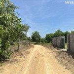 Bán đất biển lagi 519m2 đất thổ cư tân tiến, thị xã lagi gần biển giá đầu tư