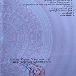 Bán lô góc tái định cư hắc dịch-thành phố phú mỹ- brvt