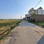 Bán đất giãn dân siêu đẹp, tặng nhà bìa làng hương trầm, đối diện x1 thụy lâm, gần dự án vin 708ha