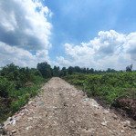 Chính chủ 21x97m 1/ an hạ, 2 mt trước và sau cách tl10 700m