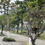 Bán đất mặt tiền nguyễn đình tựu ngay chợ hoa- gọi đàm tiến