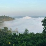 Mình Cần Bán Vài Lô Đất Gần Đà Lạt. Đất View Sông, Săn Mây, Sầu Riêng 9 Năm, Cafe, 931 Triệuiệu/Lô