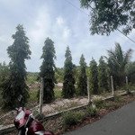 Bán đất tại đường ven biển, xuyên mộc, bà rịa vũng tàu, 38 tỷ, 3200m2 chỉ với
