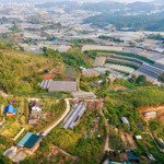 Bán đất đẹp tại phường 5, đà lạt, 12 tỷ, 4000m2, nhiều tiện ích