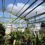 Duy nhất 1 căn nhà 3t ngay cầu rồng 61m2 mt4.5m full nột thất kiên cố dòng tiền 30tr/t cách biển 5p