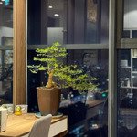 Chính Chủ Bán Chung Cư Gold Season 47 Nguyễn Tuân 102M2 Full Nội Thất