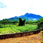 Chính Chủ Cần Chuyển Nhượng 1534M Trong Đó Có 200Tc Tại Vân Hoà