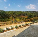 Bán đất đường hoàng hoa thám view rừng thông dt 5000m2 thuận lợi làm resort kinh doanh homestay cf