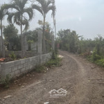 Bán đất tại xã xuân thọ, xuân lộc, đồng nai, 850 triệu, 1699 m2, uy tín giá tốt