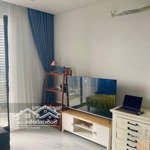 Bán căn hộ 50m2, 1pn + 1, full đồ đẹp, cửa đông nam, chung cư mỹ đình pearl. giá 3.5 tỷ bao phí