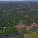 11ha cà phê, xen tiêu thu nhập cao cách ql14 chỉ 15km
vị trí: xã đắk rtih, tuy đức, đăk nông