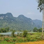 1400m2 có 200m2 thổ cư, view hồ hoa súng đẹp tại phú vinh tân lạc hòa bình, ô tô vào tận đất