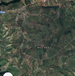 Bán đất tại quốc lộ 28, đắk som, dăk glong, đắk nông, giá 10,877 tỷ, diện tích 1599,6 m2