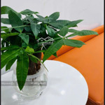 Bán Nhanh Nhà Nhỏ Xinh Đường Điện Biên Phủ, Phường 11, Quân. Giá: 2.25 Tỷ