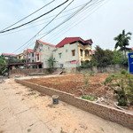 Bán đất tại xã tam đồng, mê linh, hà nội, 291.2 m2/3 lô