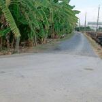 Cách chợ binh lãng tl833 vào 1km , 5x26.5 giá 490tr tân trụ long an