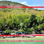 Chính chủ bán gấp 2ha bích đầm vĩnh nguyên giá bán 1. 5 triệu/m2 có mặt biển tắm được siêu đẹp
