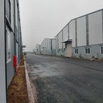 Cho thuê kho khu vực văn giang- hưng yên 600m2