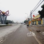 194,2 chính chủ cần bán gấp mảnh đất siêu đẹp nguyên khê đa giá cực hấp dẫndiện tích94m2 giá chỉ 6,3ty