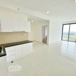 Cho Thuê Căn Hộ Ricca 1Pn+1 , Quận 9 Thpcm