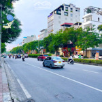 Mặt phố nguyễn văn cừ, long biên, dt 55 m, 7 t, mt 6 m, giá 29 tỷ 8, tt phố, kinh doanh sầm uất