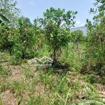 Bán gấp đất ở xã ngọc định, định quán, đồng nai, giá 790 triệu, 1005 m2