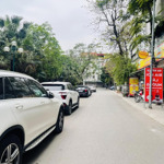 Phân Lô Vip ! Trần Quang Diệu, Ô Tô, Làm Văn Phòng, Kinh Doanh Đa Dạng, Sát Quận Uỷ. 95M*4T