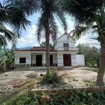 Bán biệt thự nhà vườn view đồng lúa 850 m2 đất ở tại thôn nam yên - xã hòa bắc. đà nẵng tổng diện
