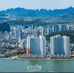 Chính chủ cho thuê căn hộ 1pn sapphire, bao biển bến đoan, trung tâm tp. hạ long