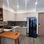 Cc bán masteri tòa d: 1pn + 46.5m2, 3.2 tỷ, full đồ đầu tư 250tr, sẵn sổ.