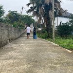 Đất Tu Vũ,Thanh Thuỷ,Phú Thọ,Mặt Tiền 28M Bám Đường Bê Tông,Gần Trường Học Và Các Dịch Vụ Tiện Ích