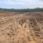 20000M2 Đất Trồng Cây Lâu Năm Vuông Vắn Bằng Phẳng Rất Đẹp Hòa Phú.
