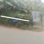 đất mặt tiền đường tỉnh lộ 8, giá rẻ