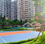 Cho thuê shophouse safira giá tốt 37 triệu/tháng