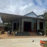 Bán gấp nhà mái thái to. 1,6 ha đất tiêu, café, sầu riêng cách ql14 khoảng 1 km