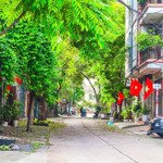 Biệt thự sân vườn hàng xóm khu biệt thự him lam vĩnh tuy, diện tích 200m2