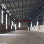 Bán nhà xưởng siêu đẹp vị trí đắc địa tại phú mỹ, bà rịa - vũng tàu
