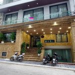 Bán nhà mặt phố tại đường nguyễn khắc hiếu - ba đình
