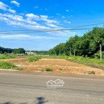 Bán 2700m2 ở định an dầu tiếng bình dương giá 900 triệu, thương lượng