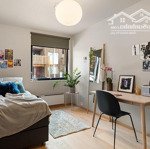 Siêu vị trí! 5 tầng thang máy, hxh trần khánh dư, tđ, q1 |4x11m| hdt 50tr/th vuông vức chỉ 15 tỷ tl