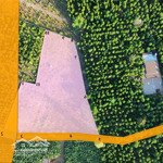 Bán khu nghỉ dưỡng tại bàu sen, long khánh, đồng nai, 6,5 tỷ, 4700 m2