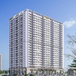 Bán đất tại phạm vấn, mân thái, sơn trà, đà nẵng, 24,5 tỷ, 264m2 giá siêu hời